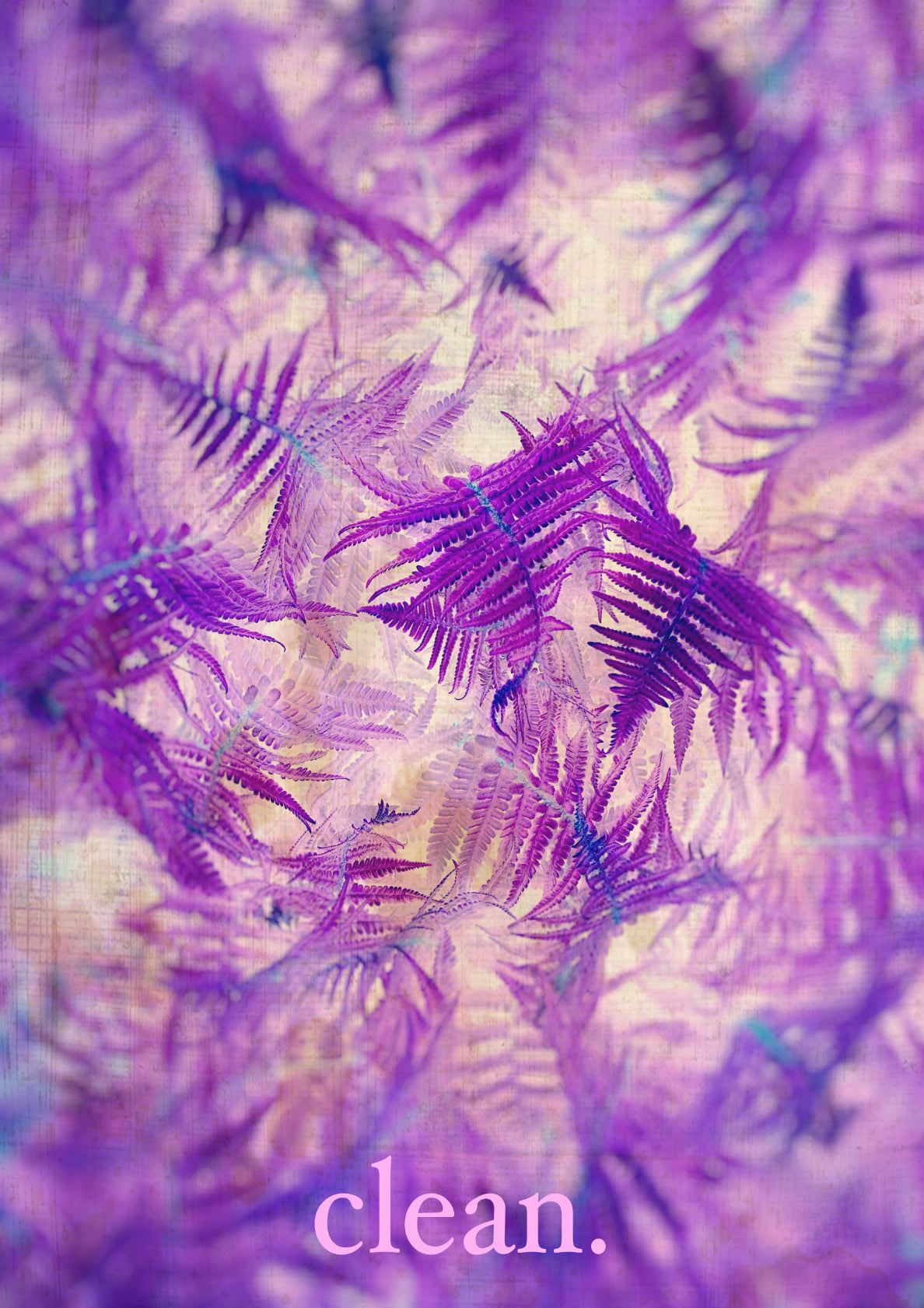 clean. / purple