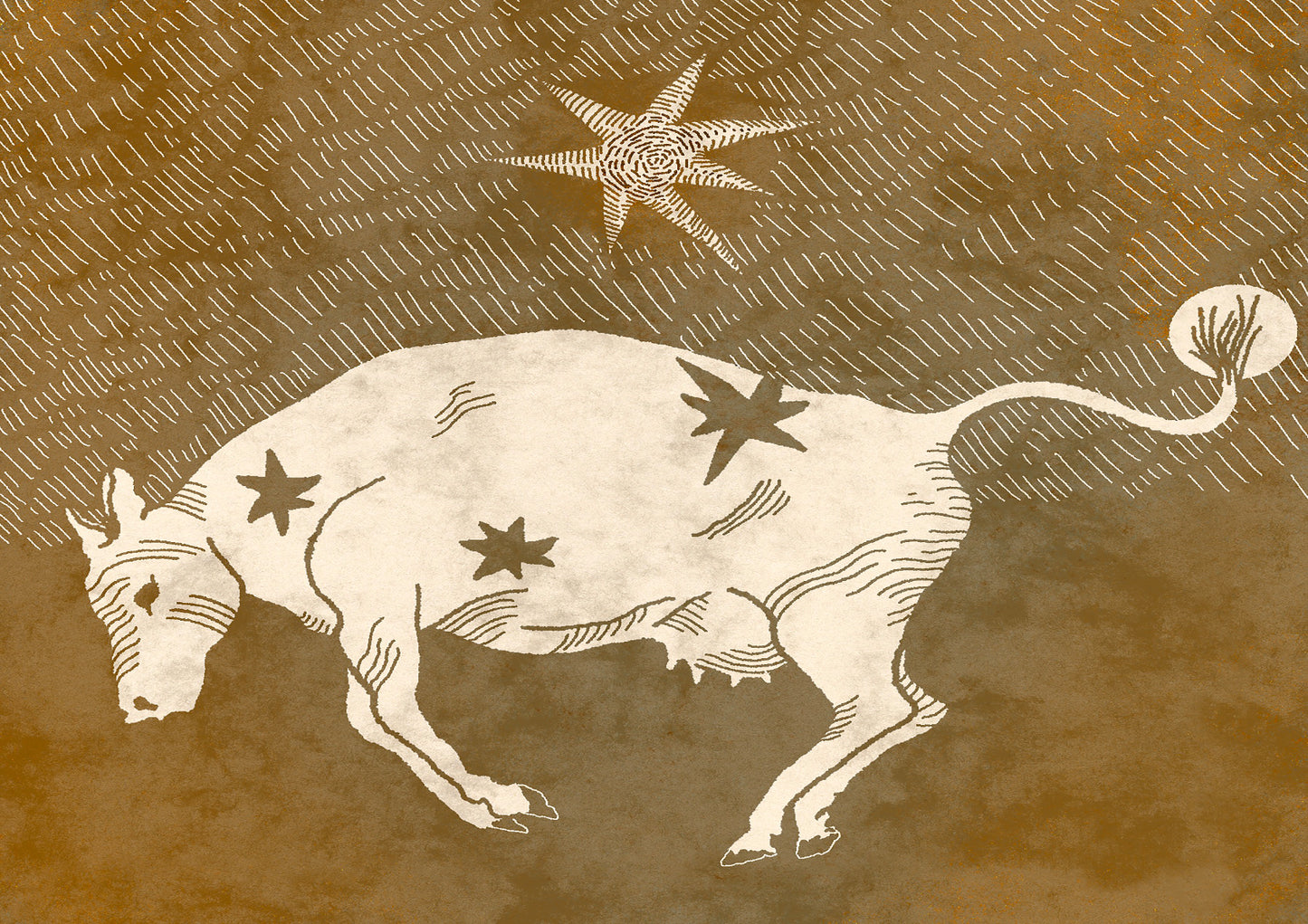 Cow Under A Star