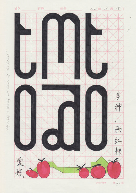 100 Graphic Design Diaries