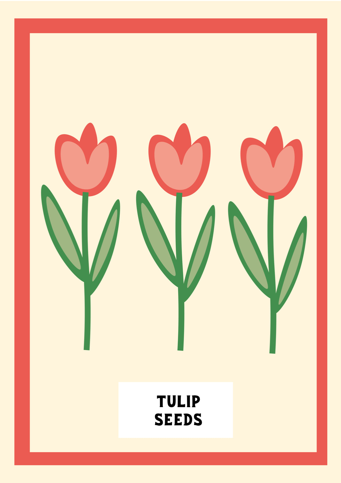 Tulip Seeds