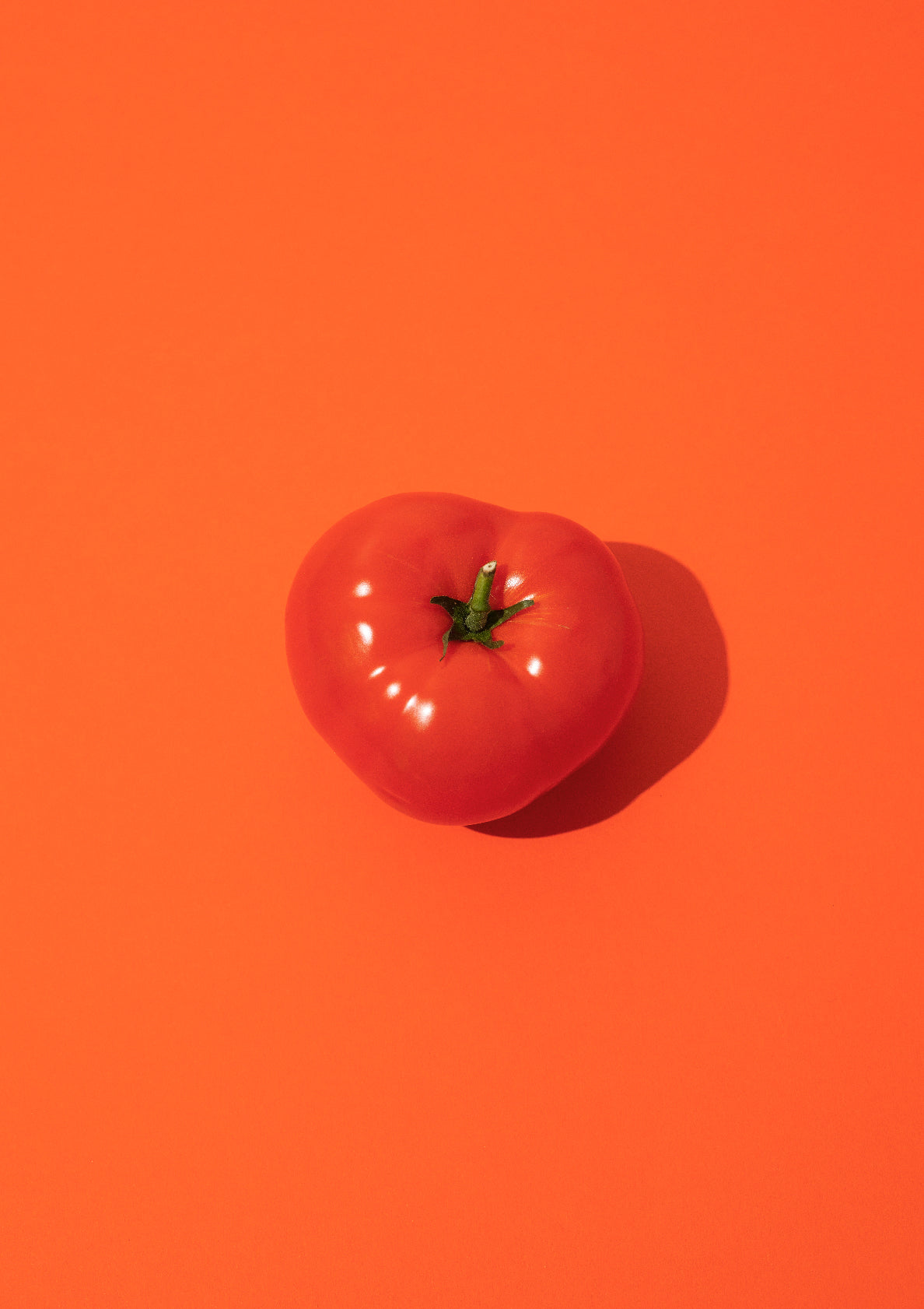 Tomato / pop art style photo print