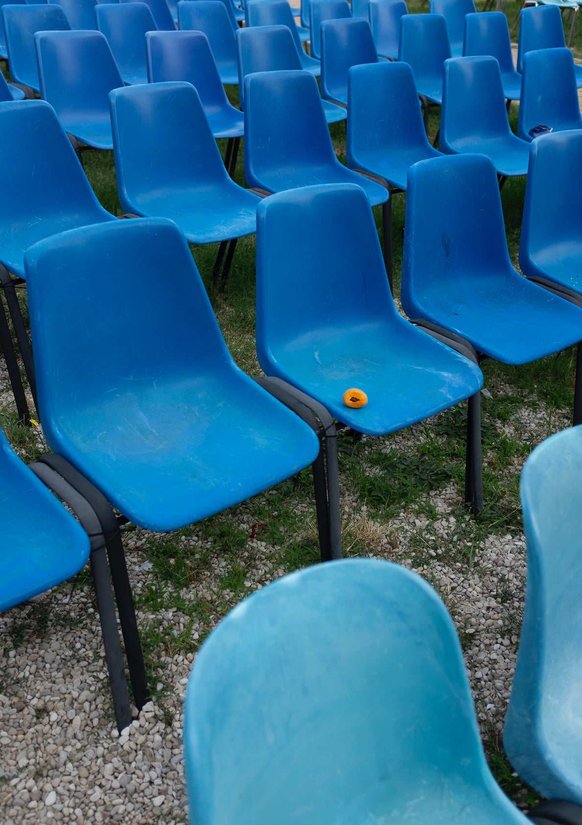 Chairs and apricot / minimal style photo print