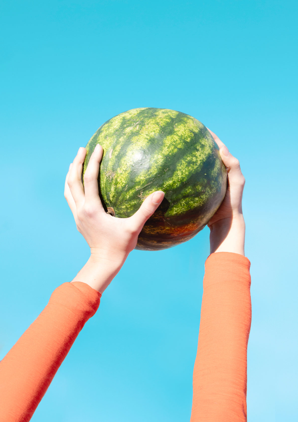 Hands raising juicy watermelon / vibrant pop art style photo print