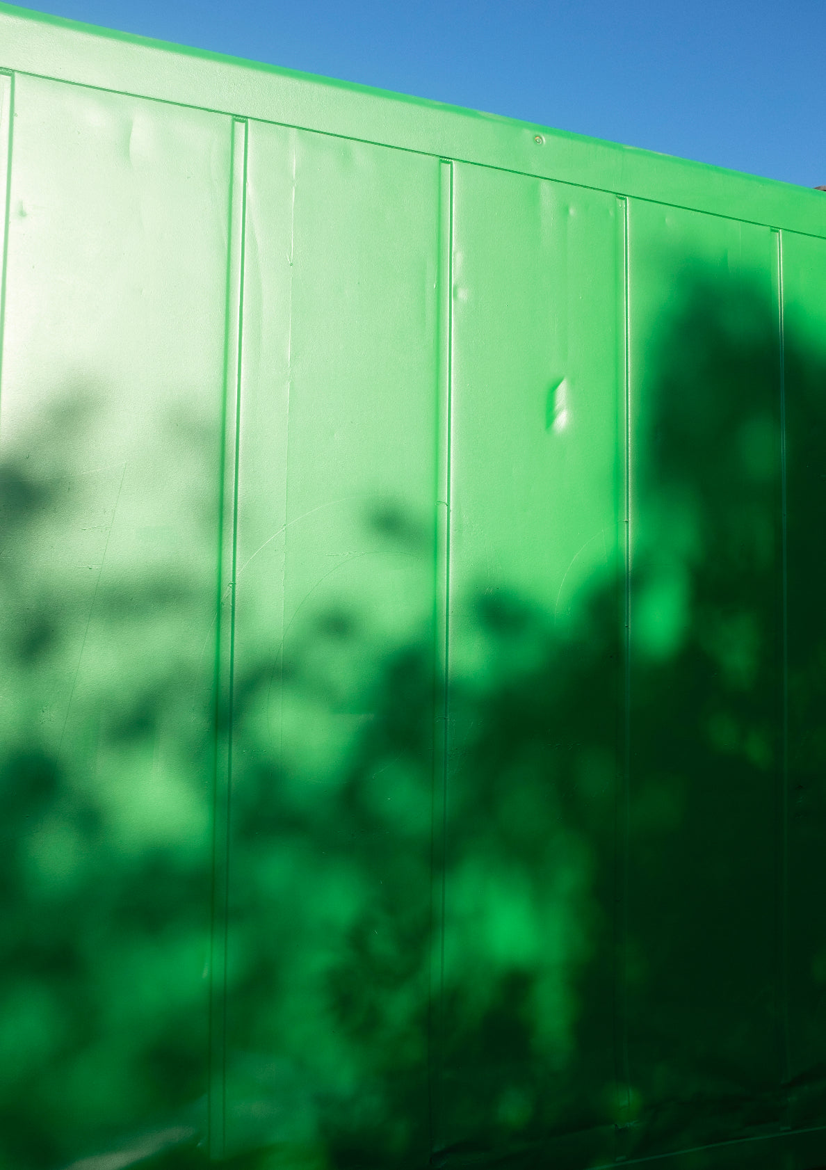 Green wall with shadow of tree / minimal style photo print