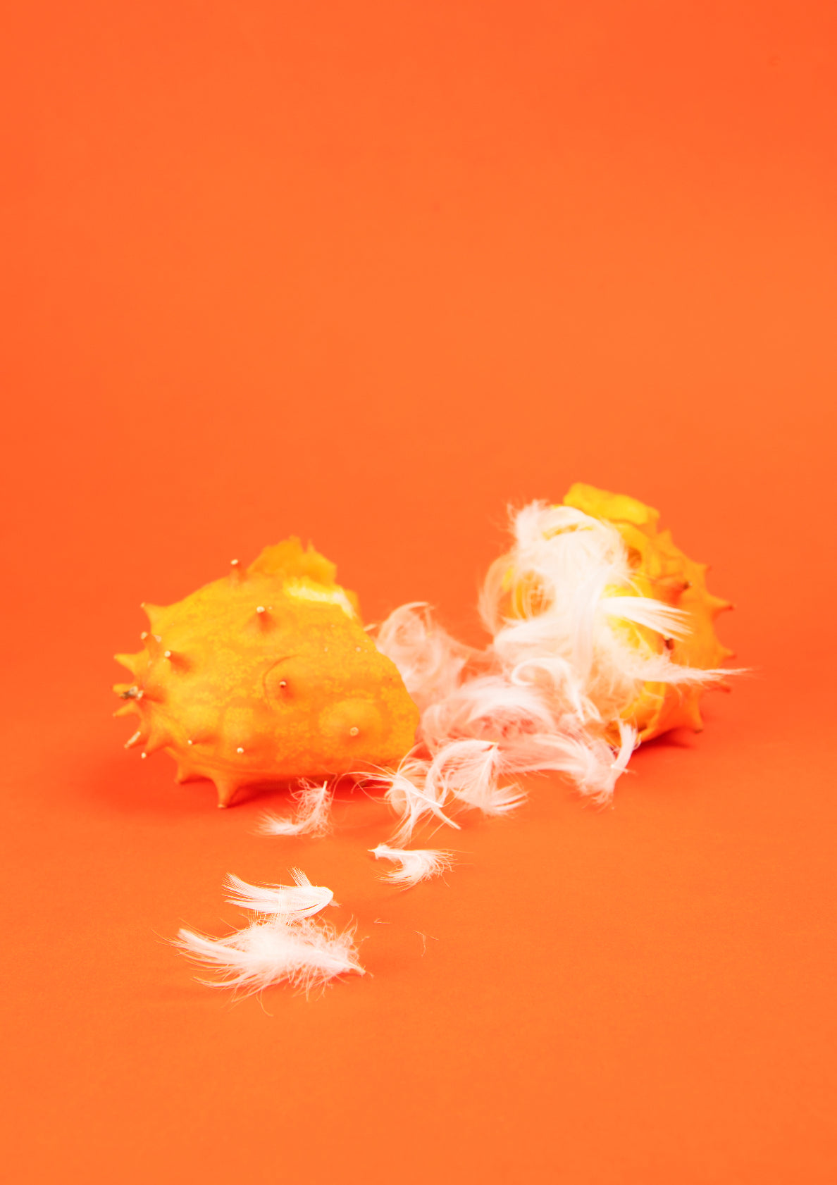 Feathers inside a fruit / pop art style photo print