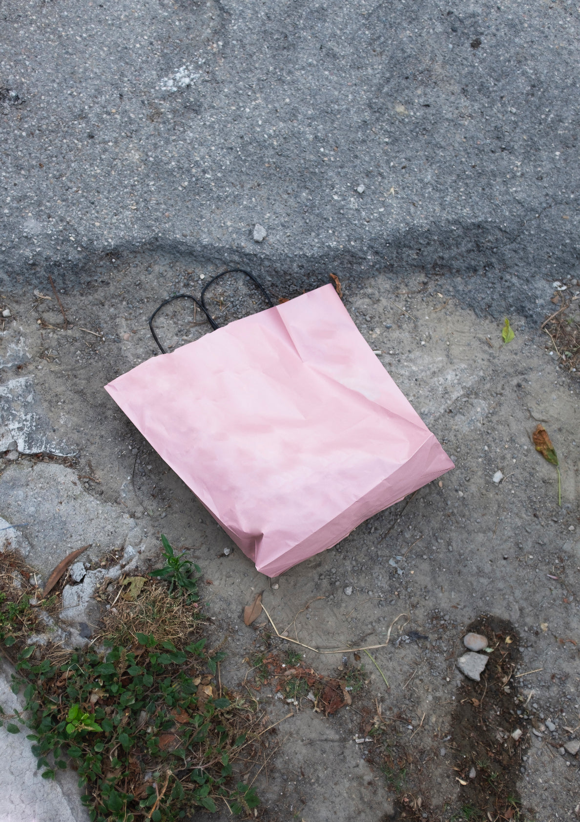 Pink paper bag / minimal style photo print