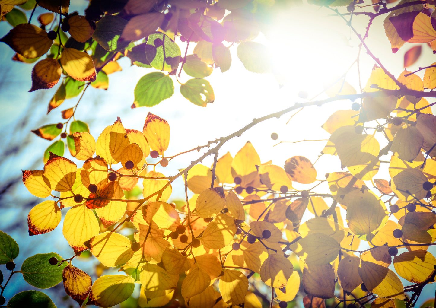 Winter is finally here