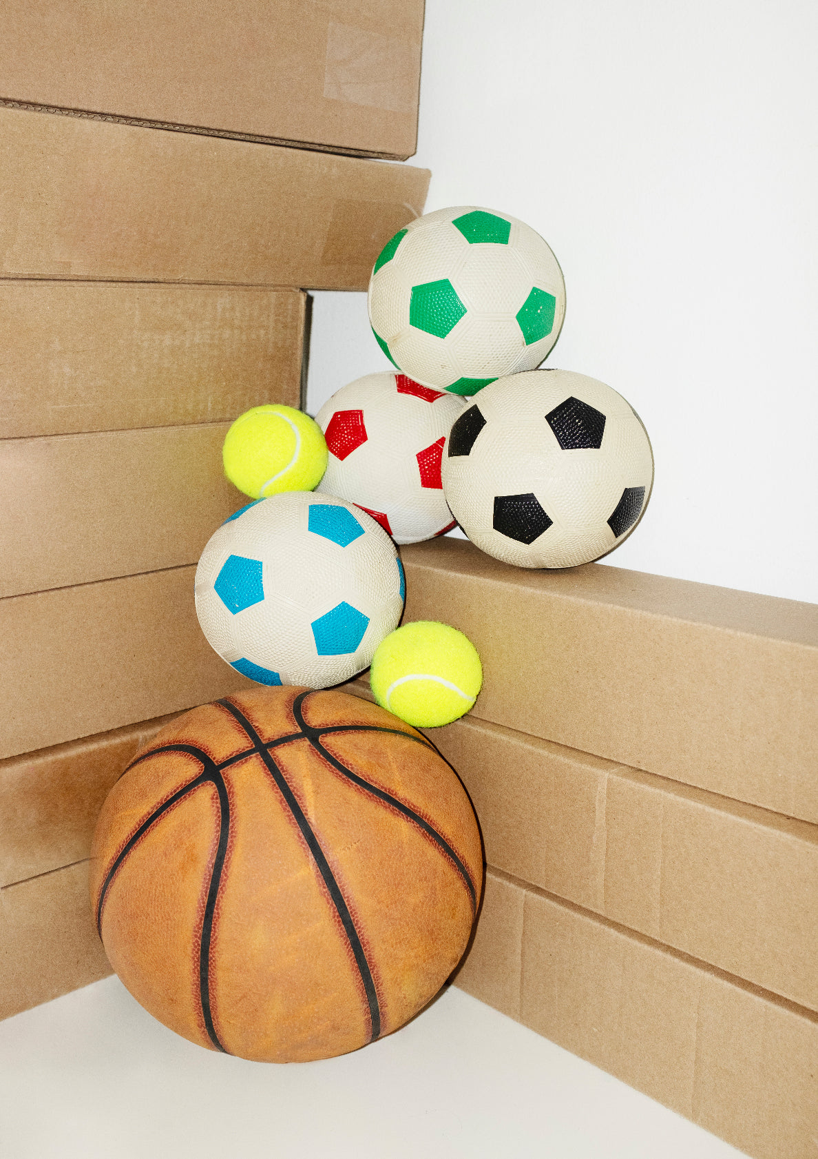 Sport balls / contemporary style photo print