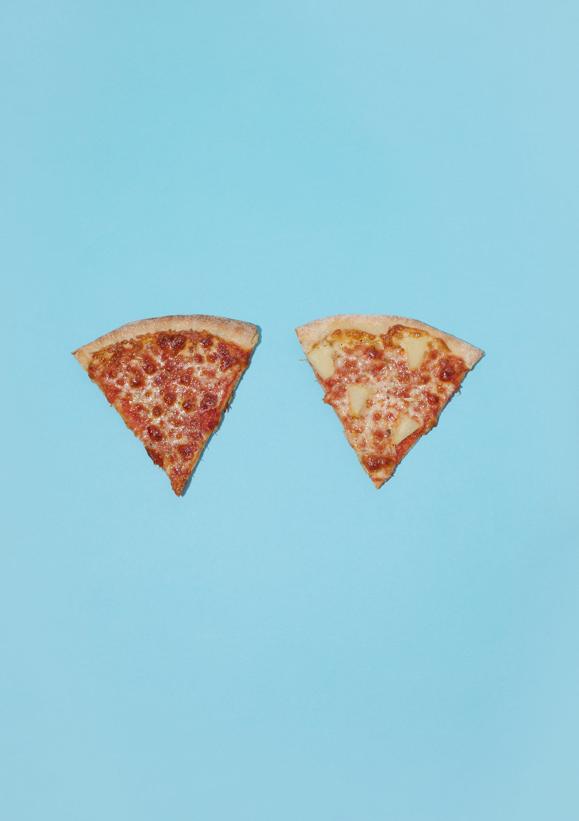 Pizza with or without pineapple / pop art style photo print