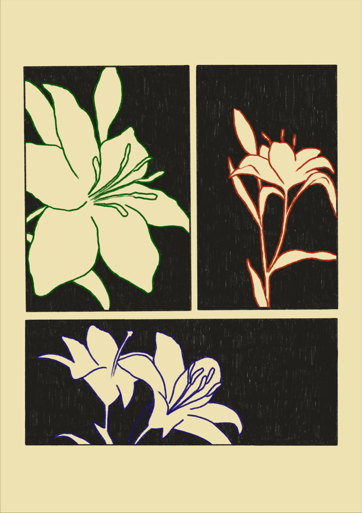 Flowers Composition Red Blue Green Outline