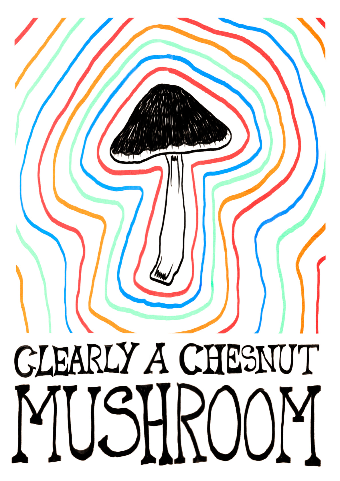 Clearly a chestnut mushroom