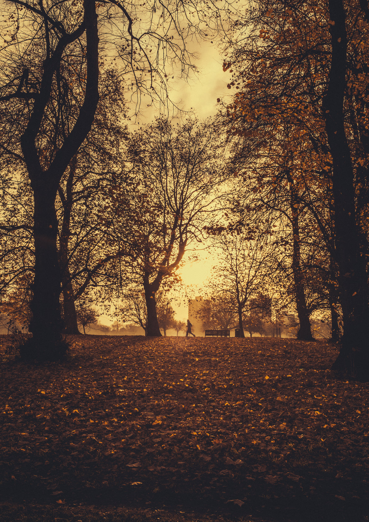 Victoria Park, London