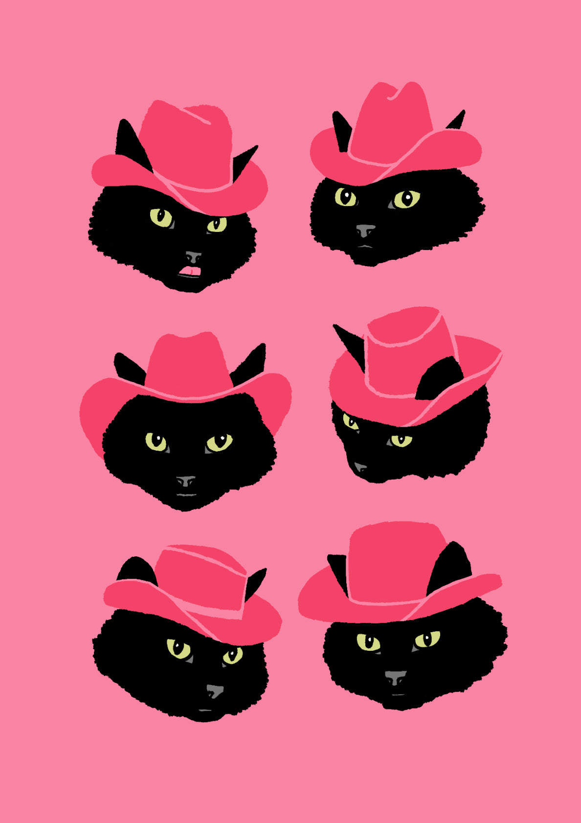 Marcy The Cowgirl Cat