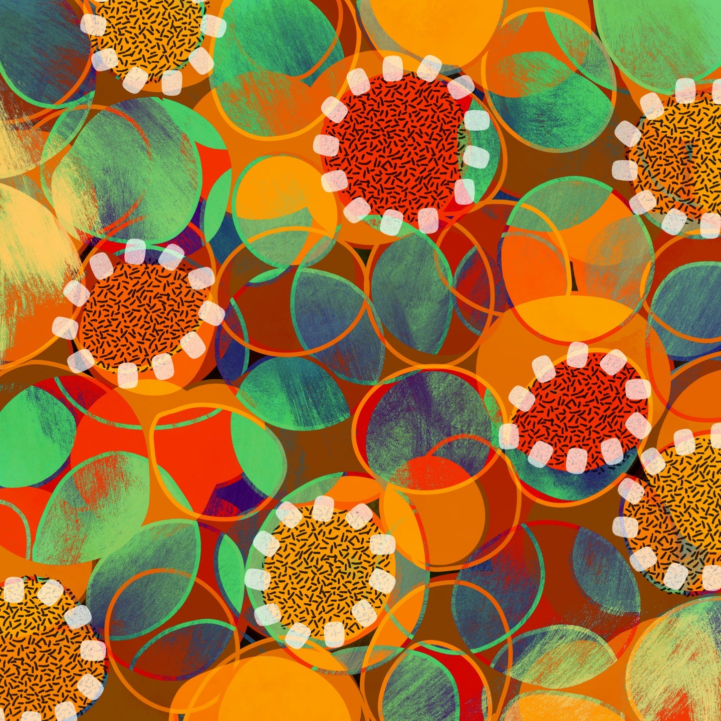 School Ground Wattle