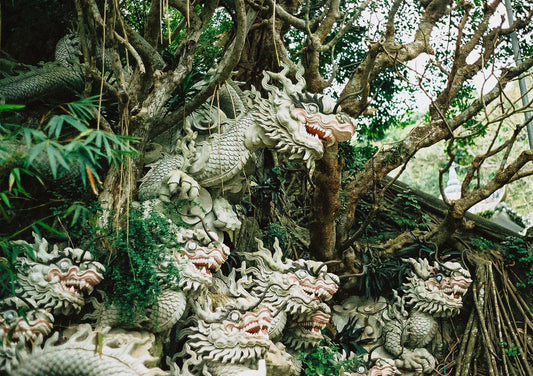 A Council of Dragons