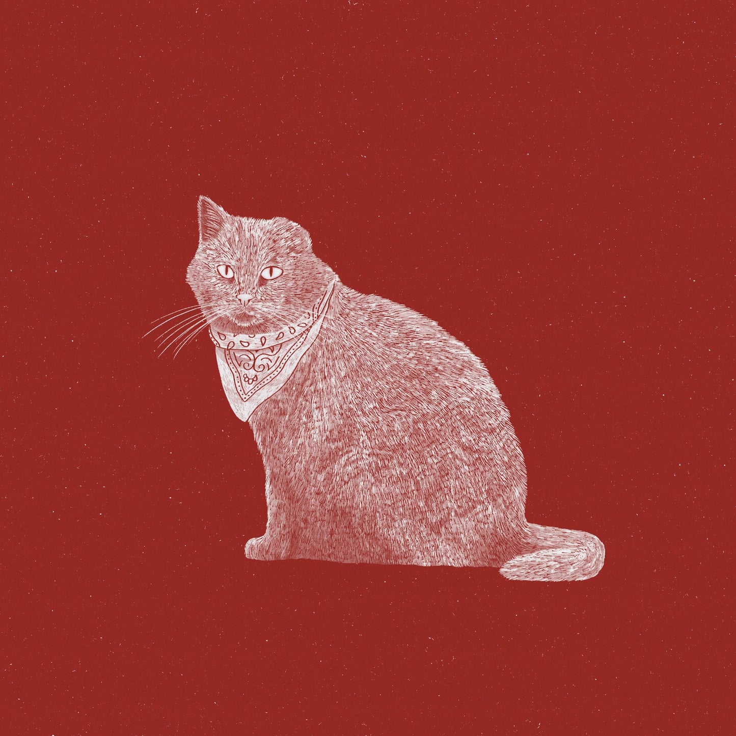 The Badass Bandit Cat