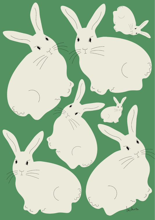 White Rabbits