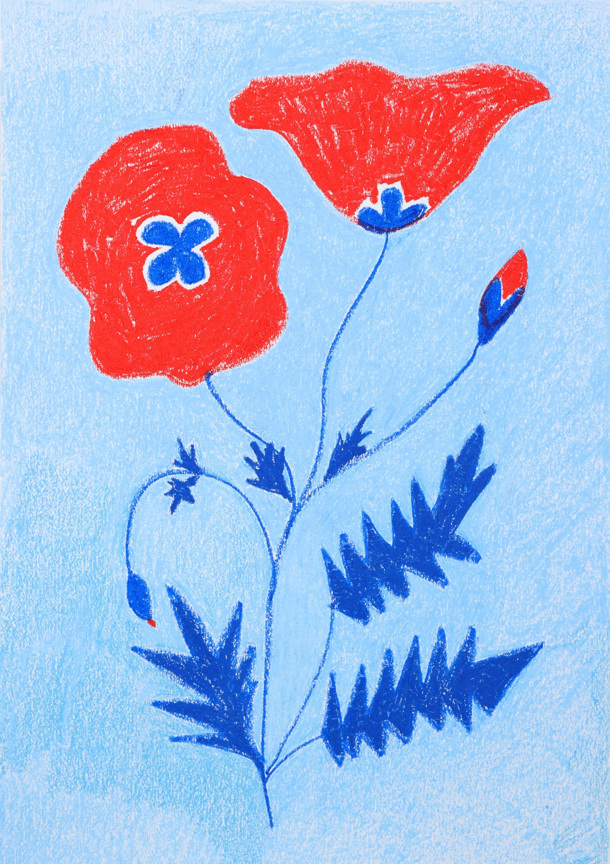 Poppies