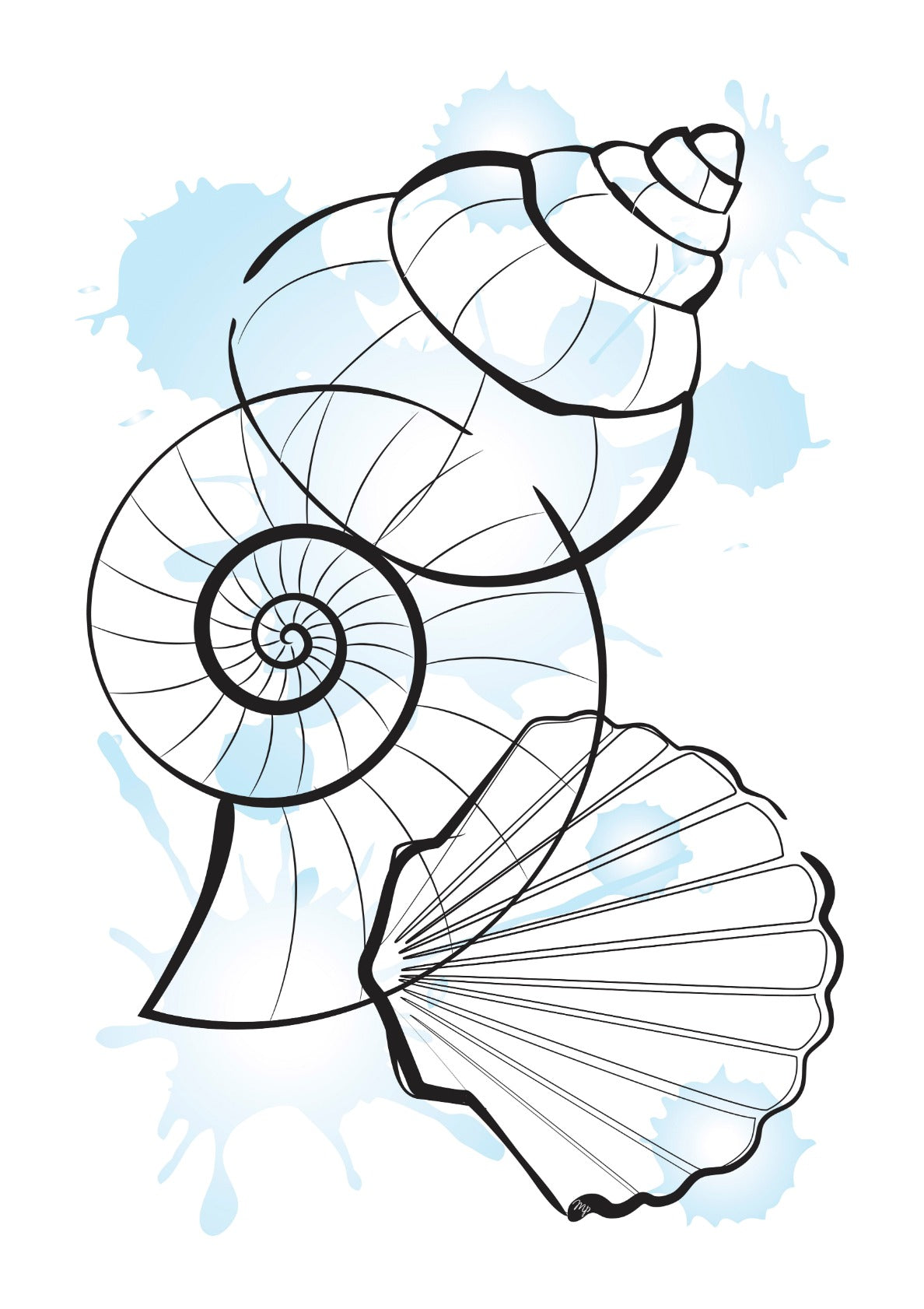 Line Art Shells