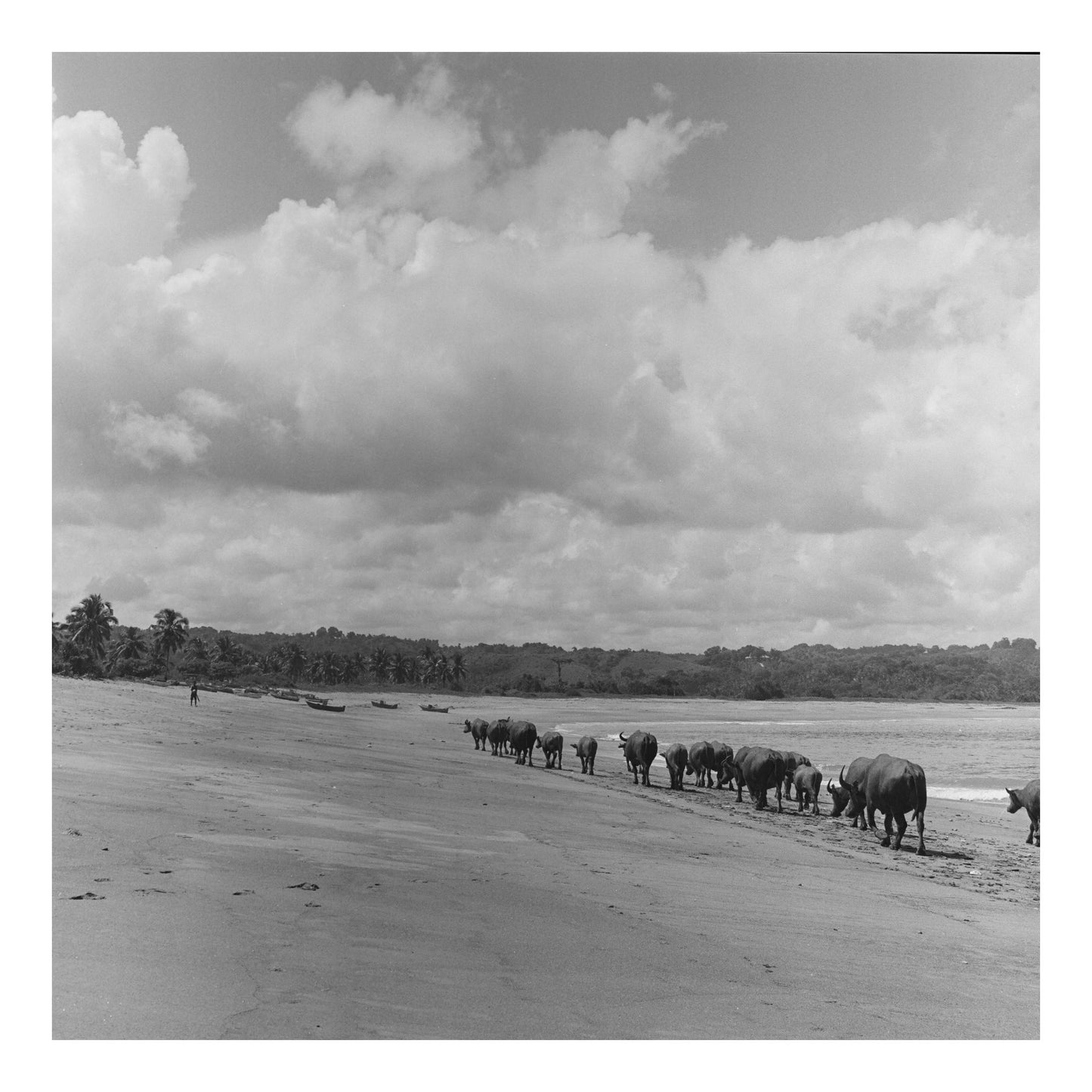 Sumba island in Indonesia