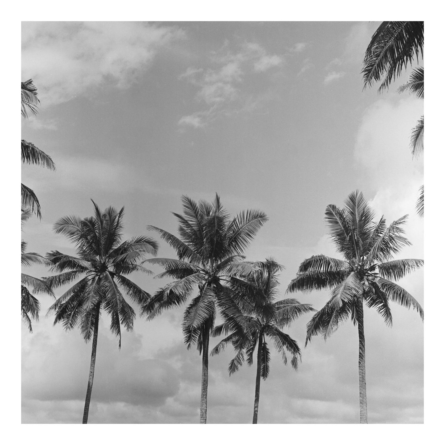 Sumba island in Indonesia