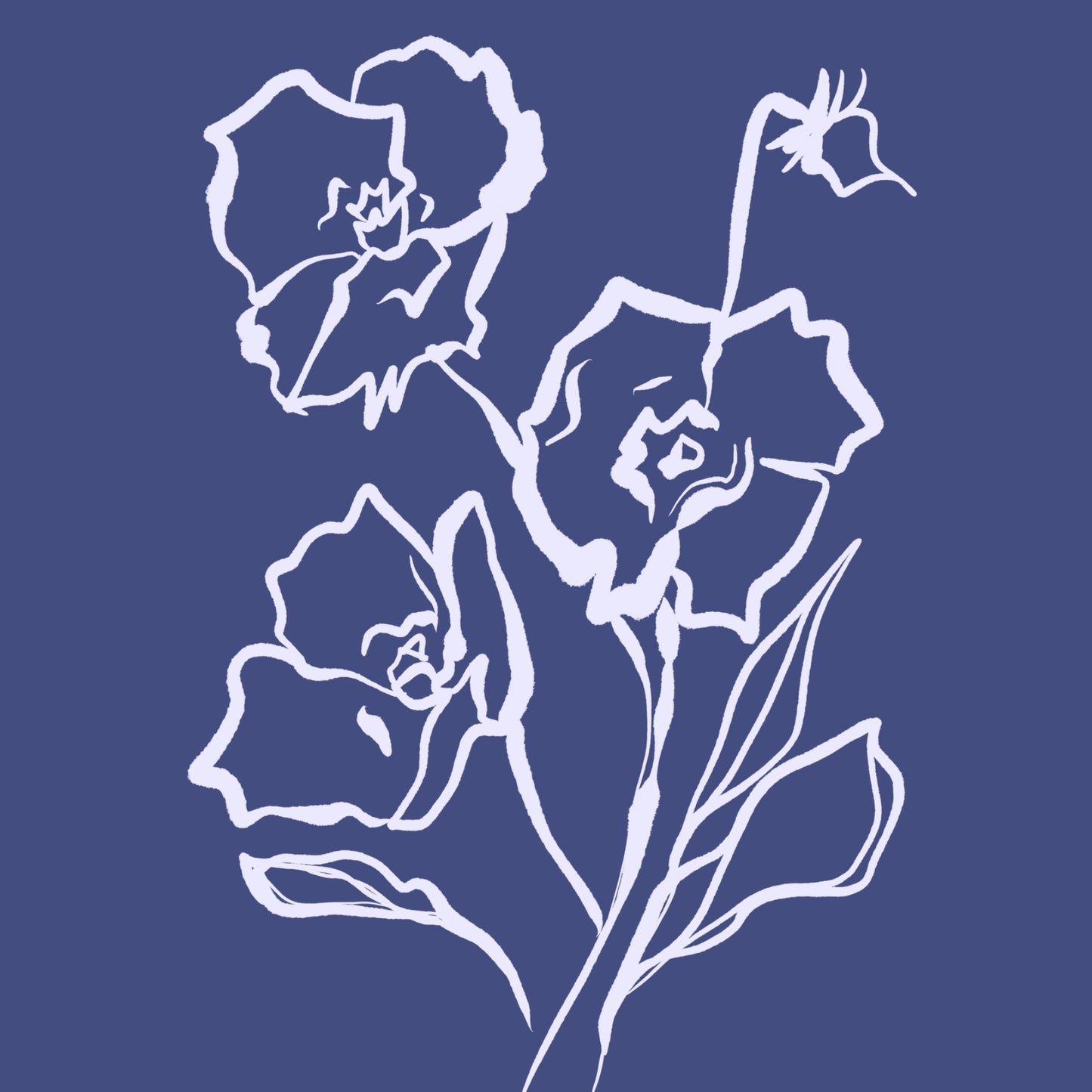 Flowers Abstract line