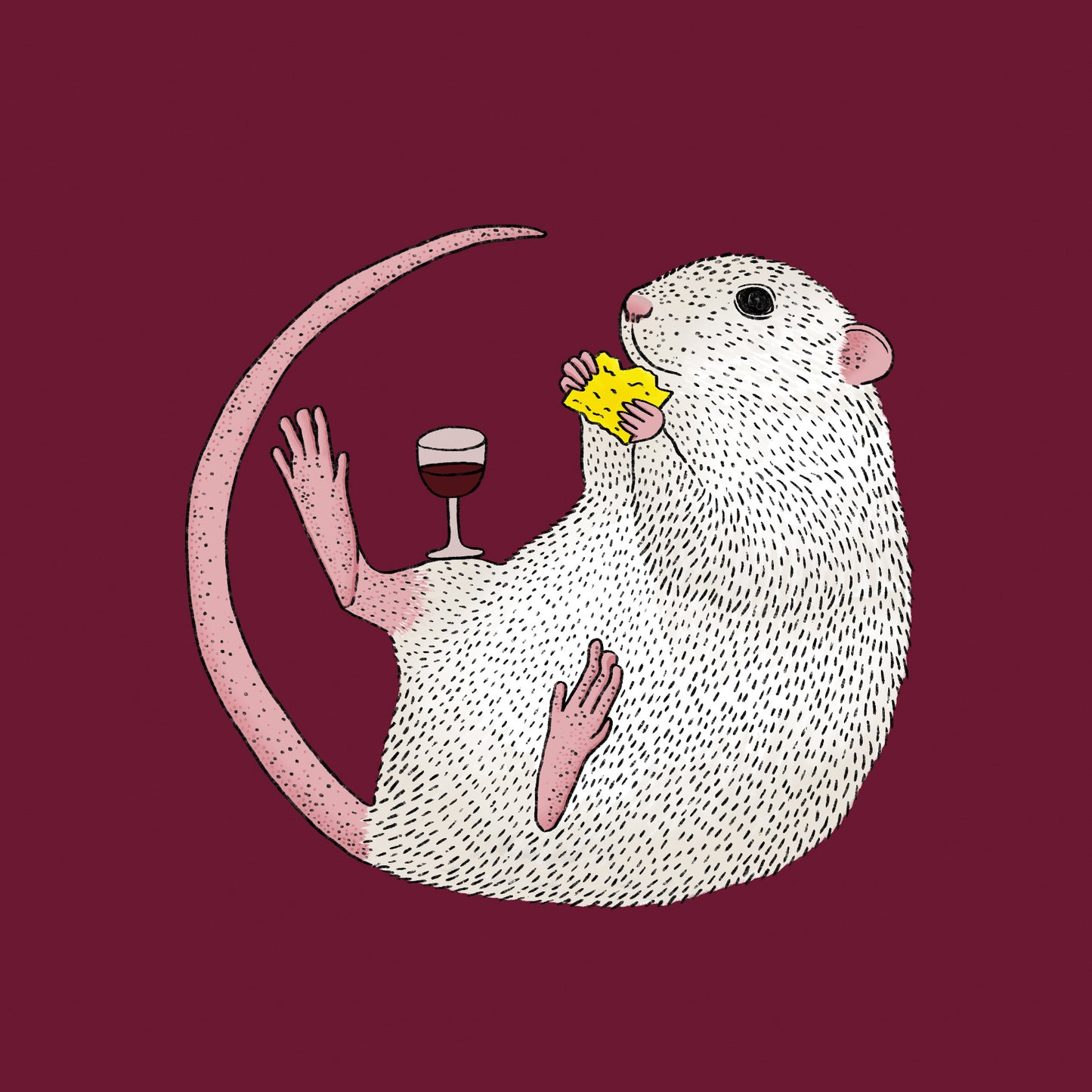 Nibbles The Fancy Rat