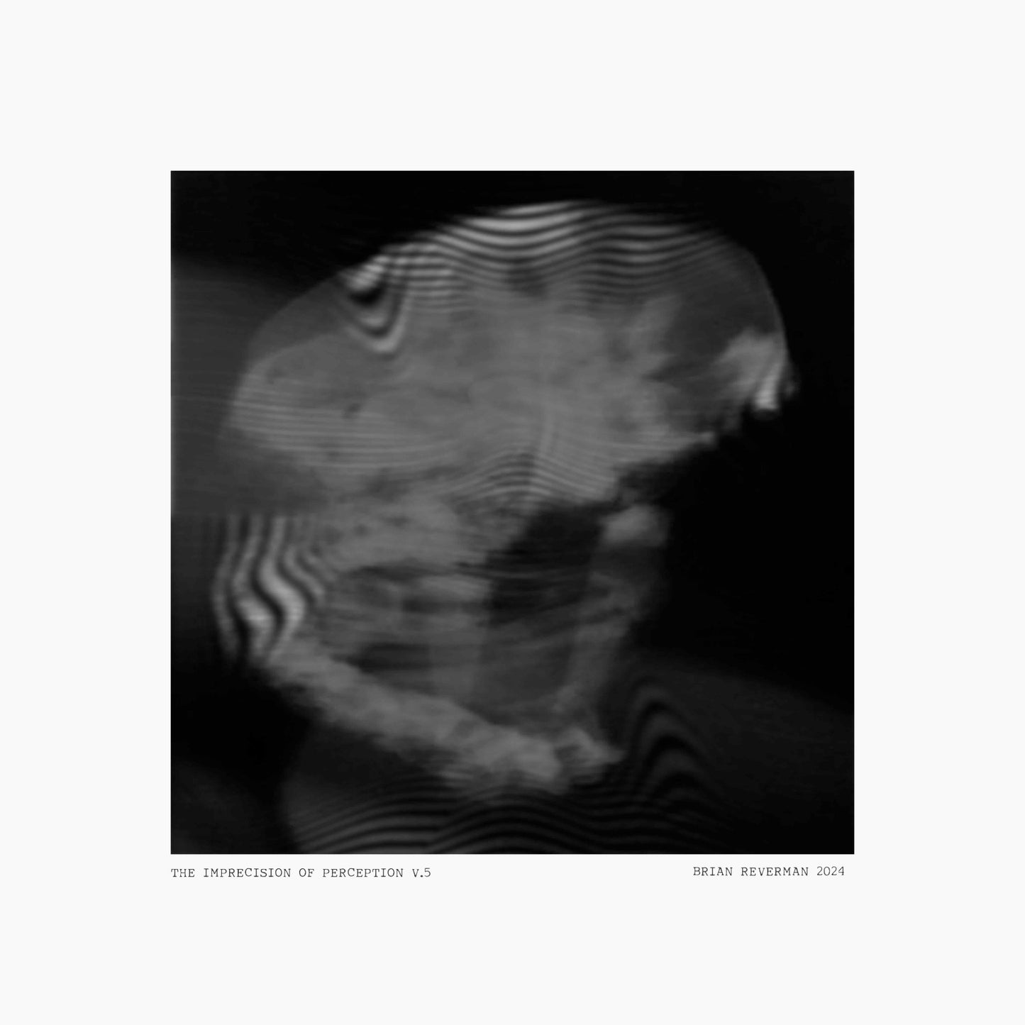 The Imprecision of Perception v.5