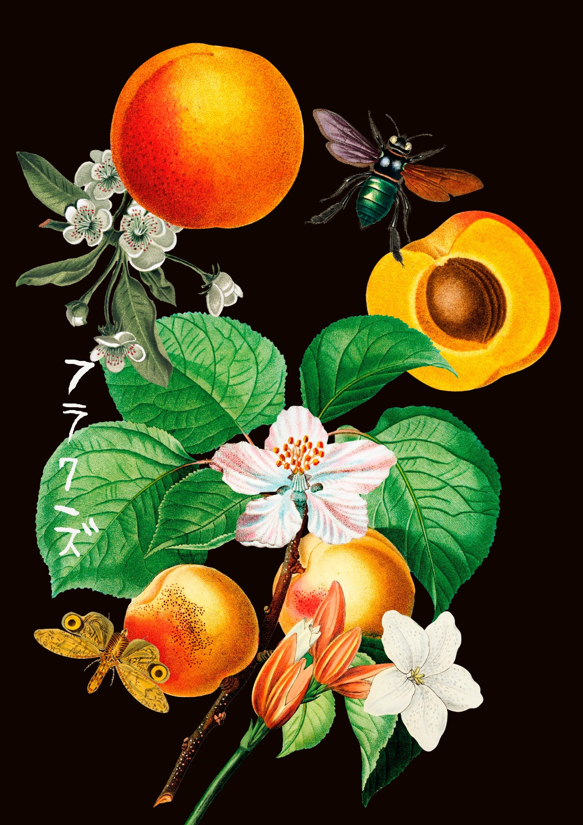 fruits and insects