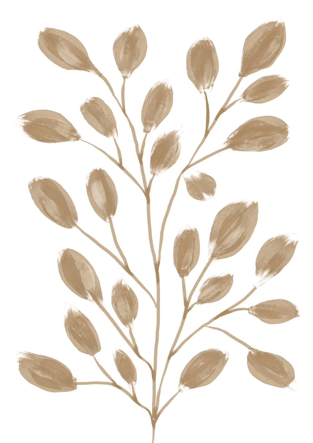 Brown Gentle Plant