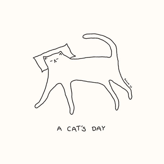 A Cat's Day