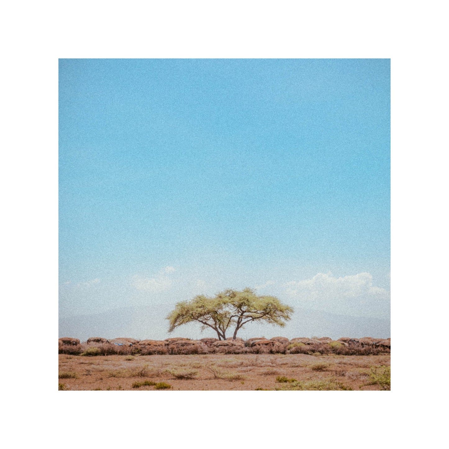 Tanzanian landscape.