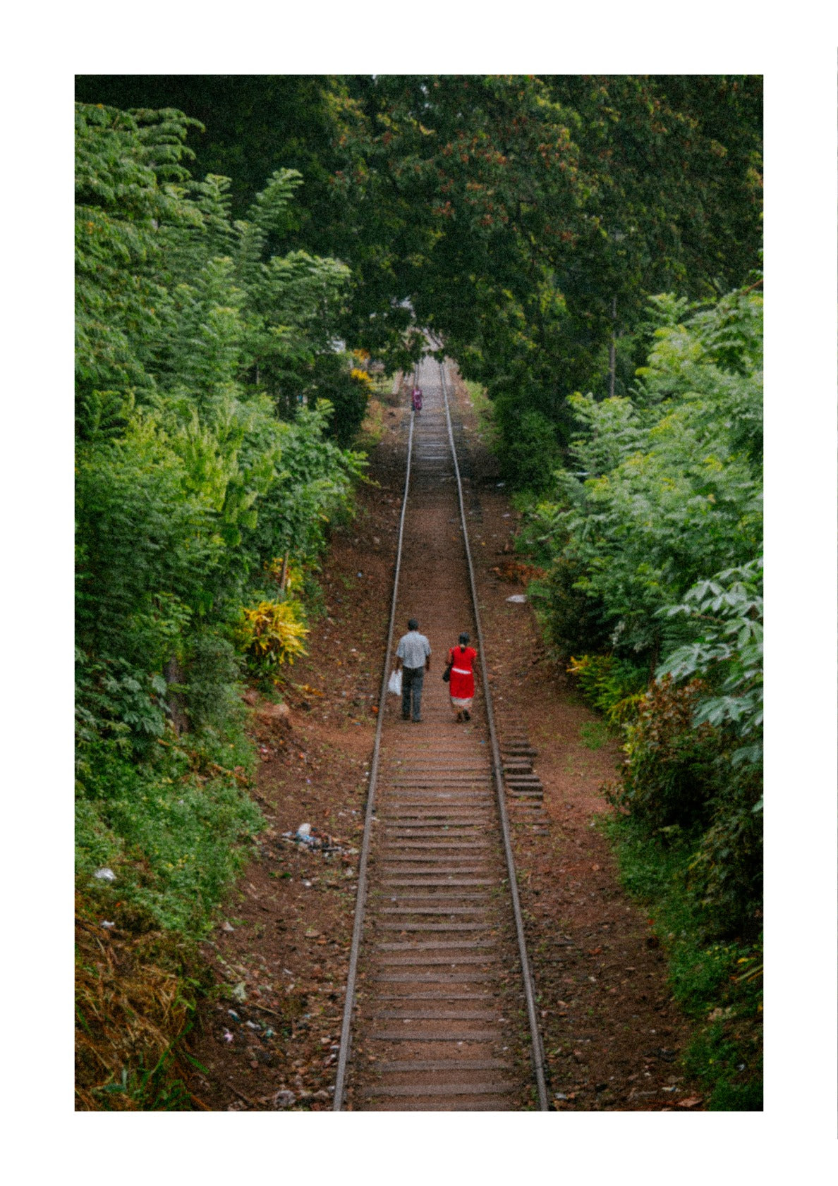 On the rails of Sri Lanka.
