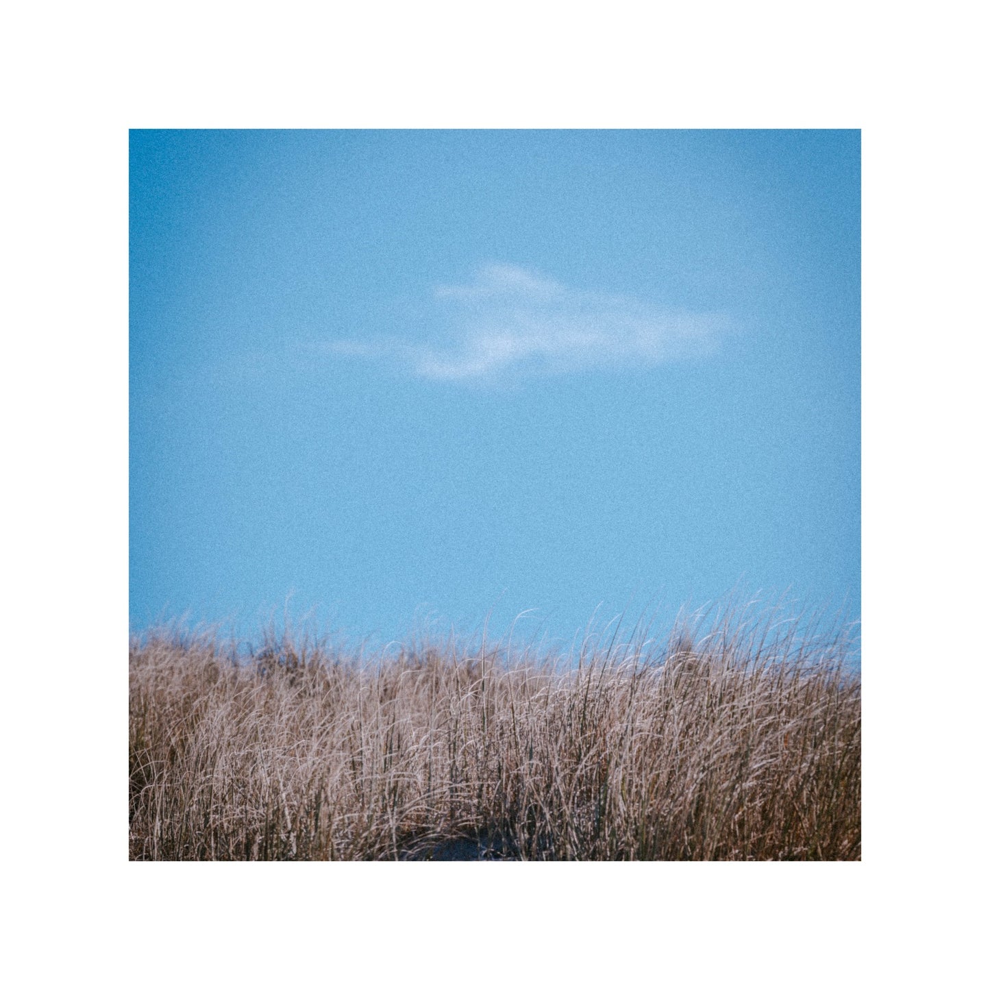 Nature in New Zealand