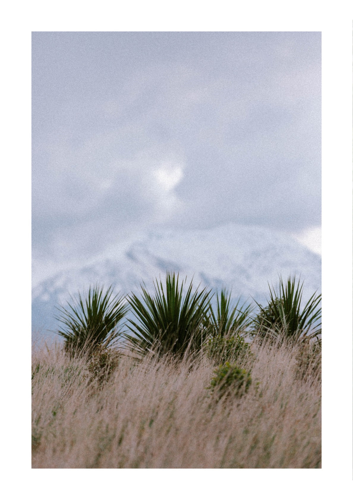 Nature in New Zealand