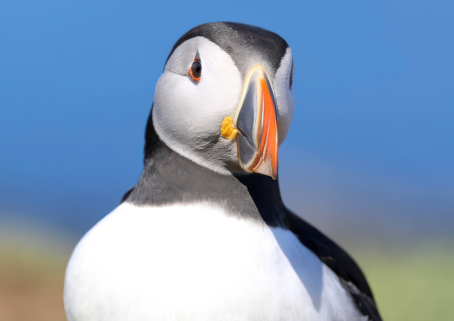 What you looking at.......