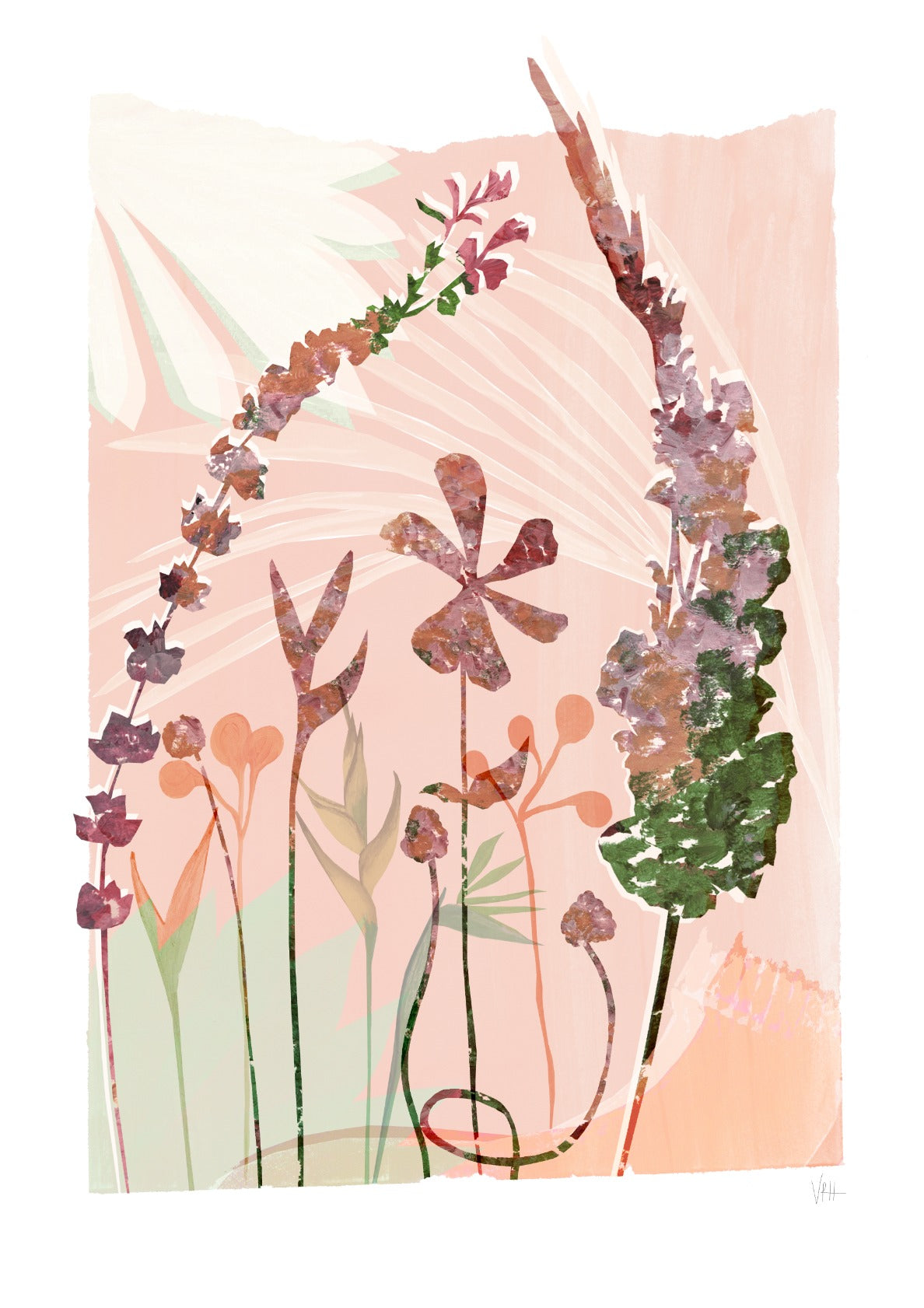 Peach Serene Botanical Art Print