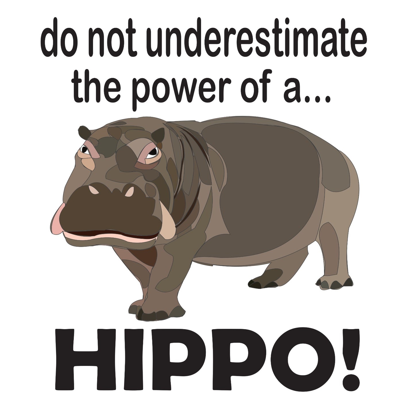 Hippopotamus Animal Funny Hippo