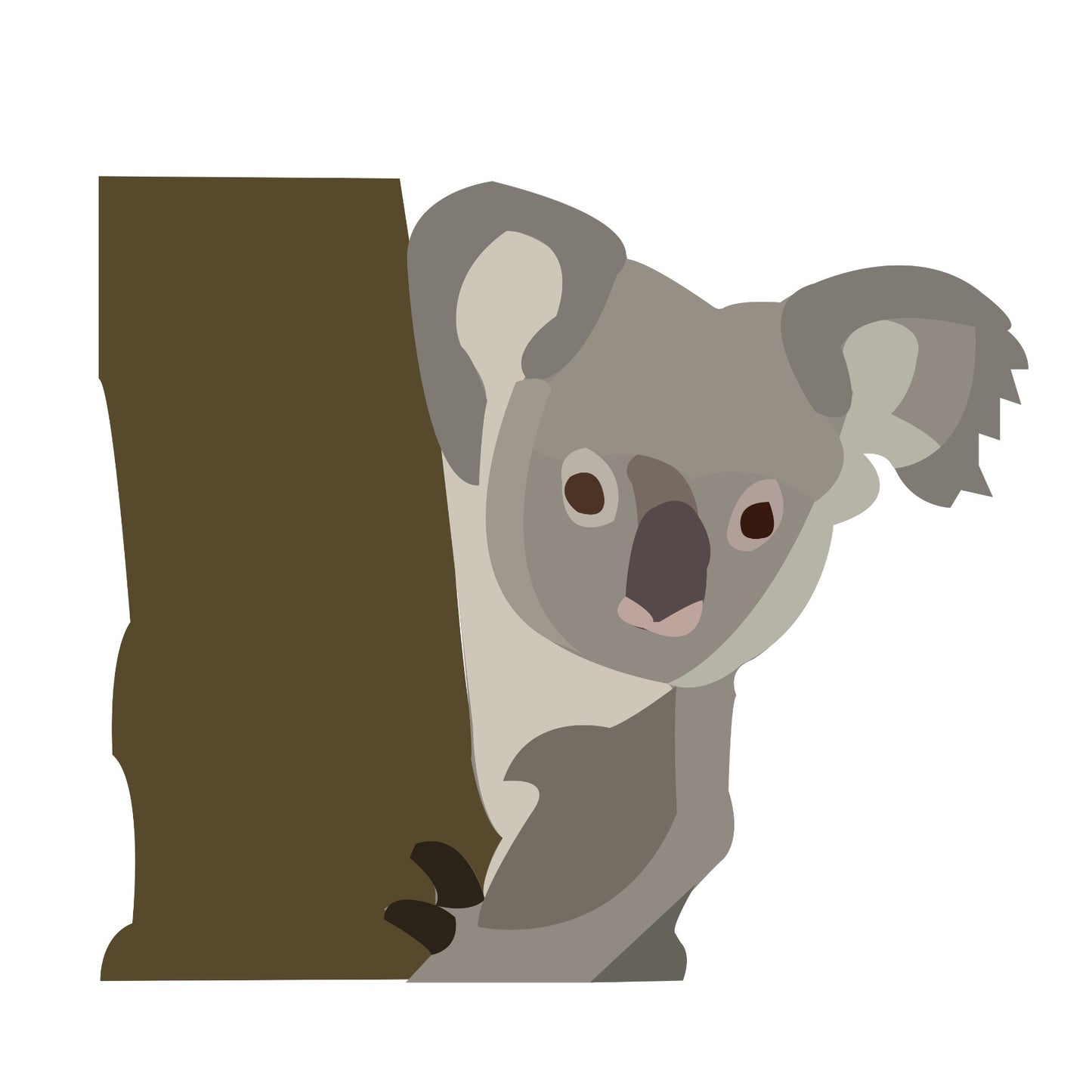 Koala Bear Cute Australian Animal
