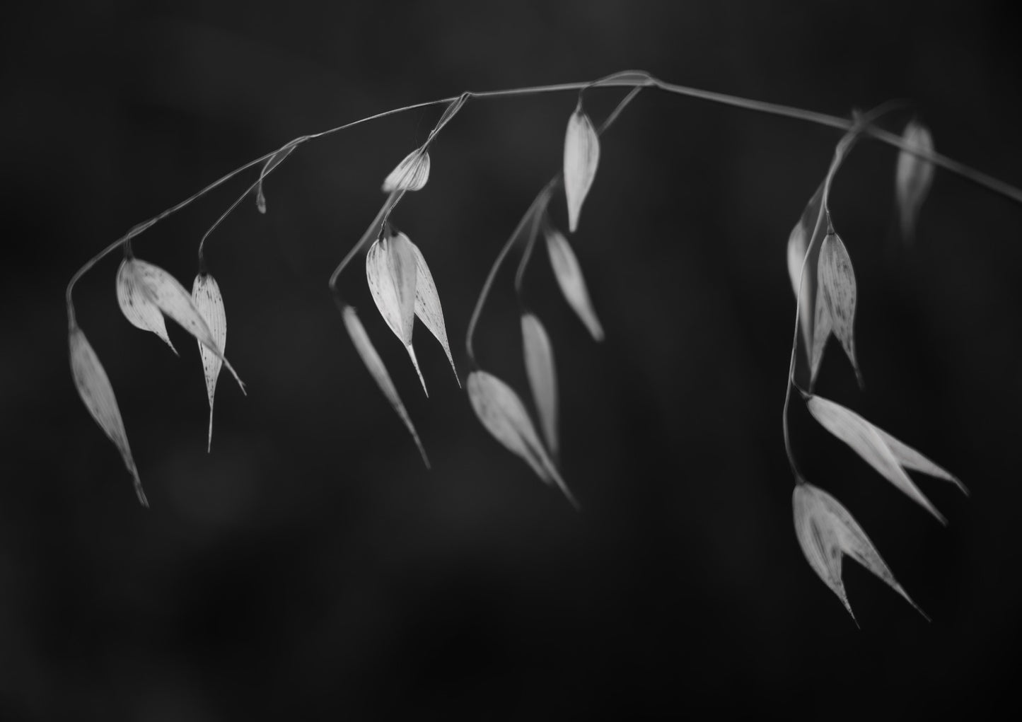 In light of current events II