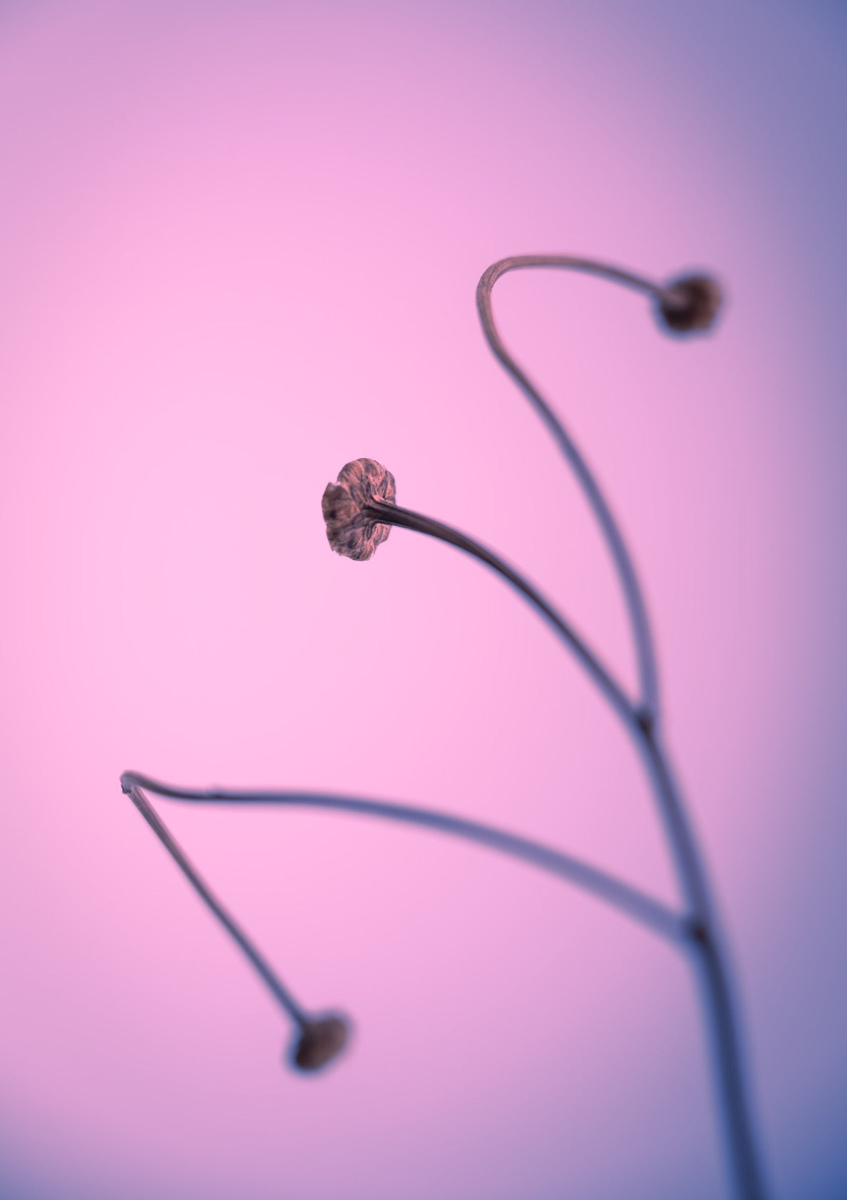 In light of current events VI