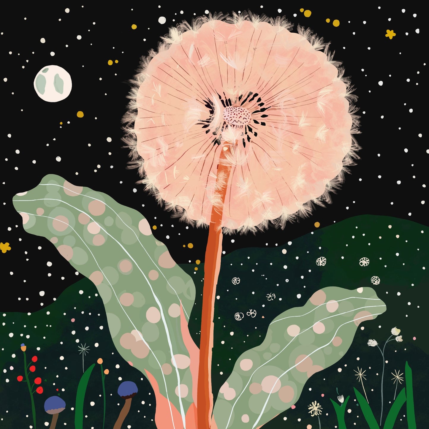 Night Dandelion