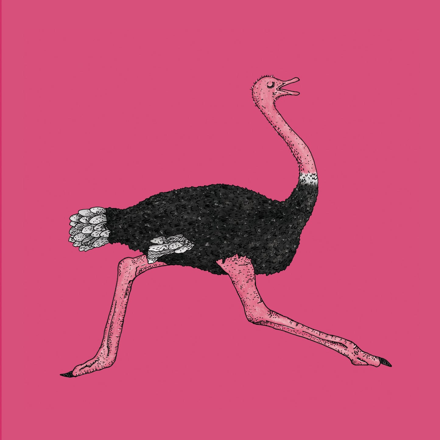 Running Ostrich