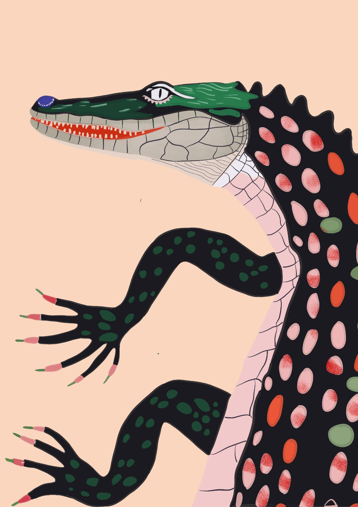 Crocodile