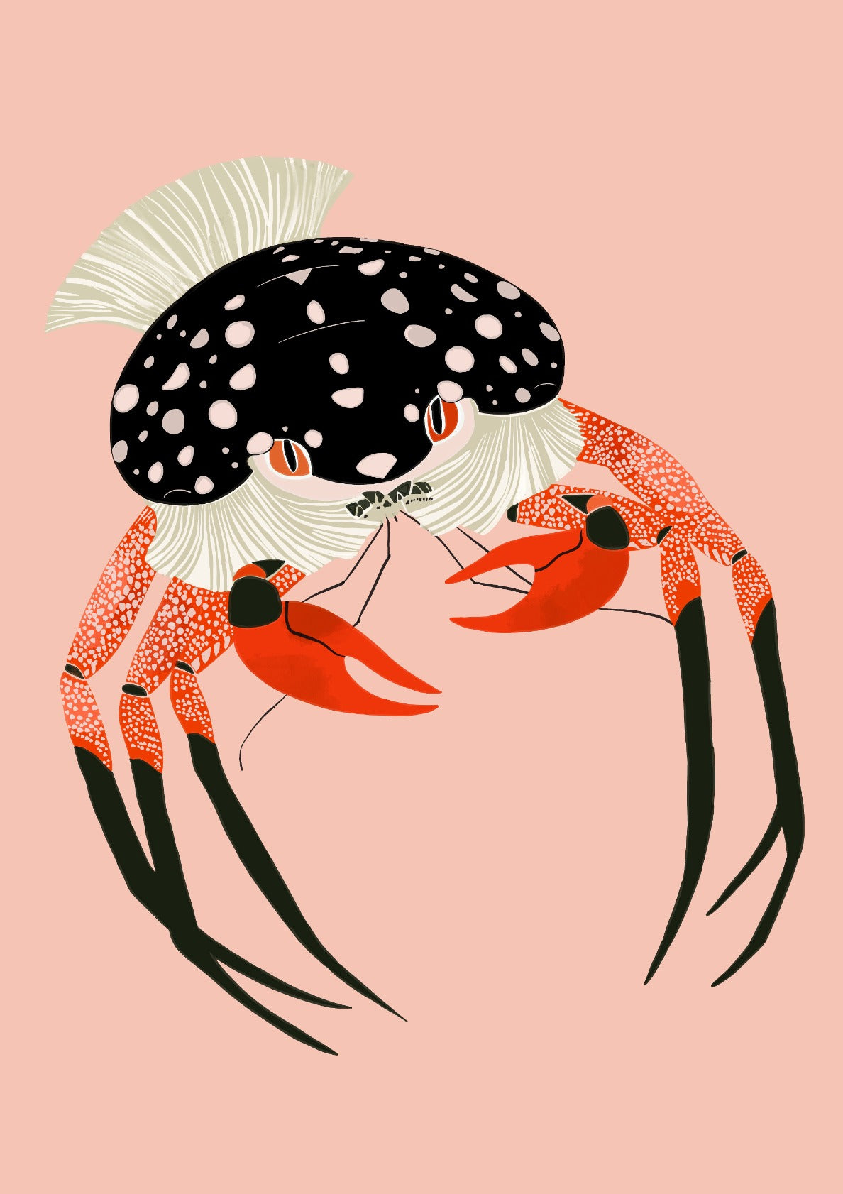 Vivid Crab