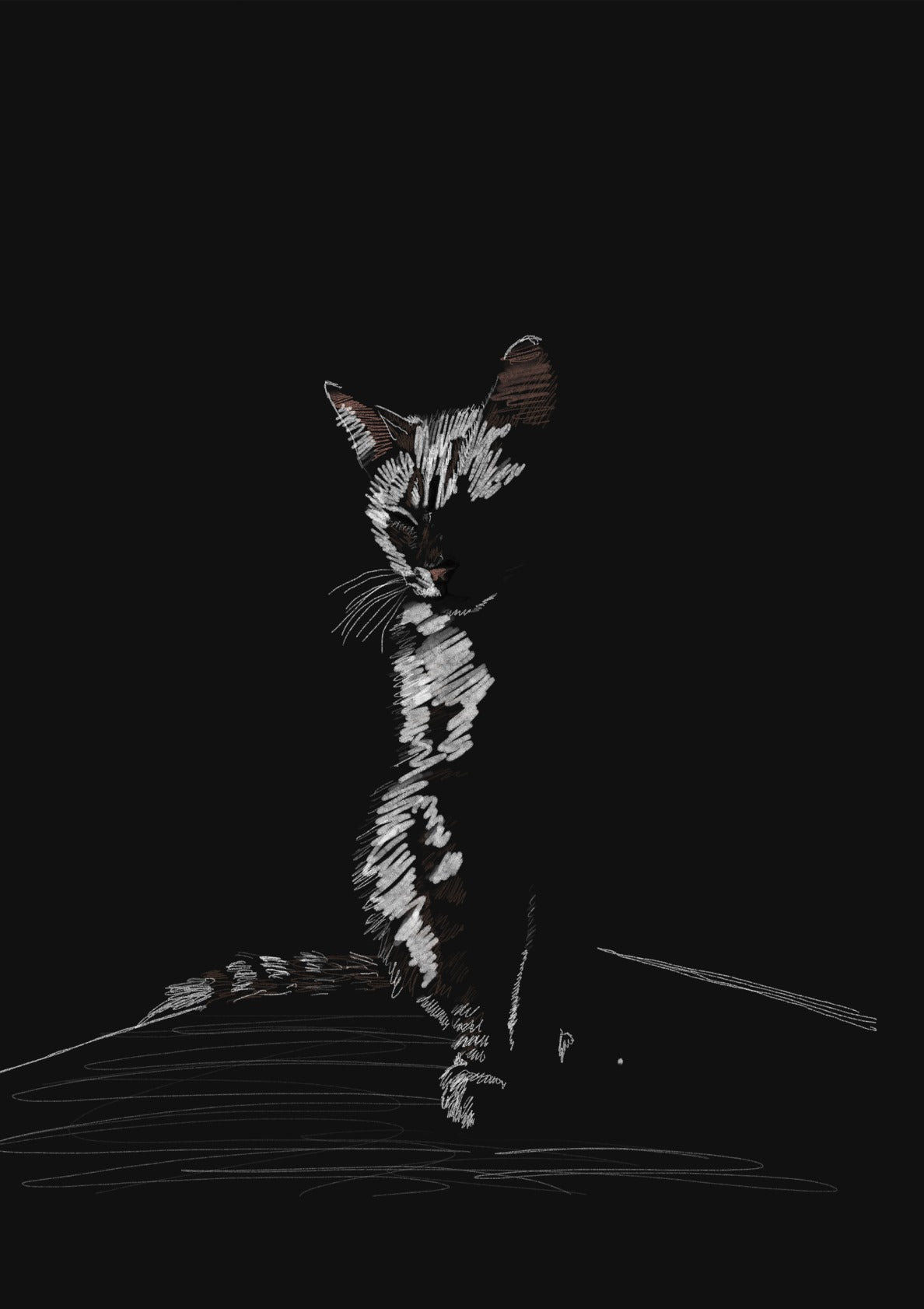 My Beautiful White Cat