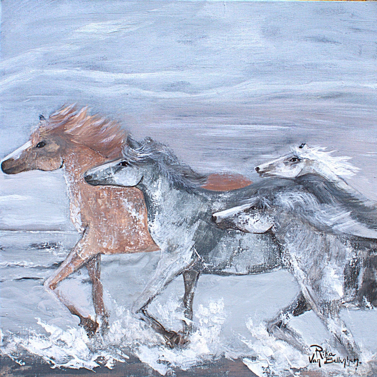 Horse trot in the sea