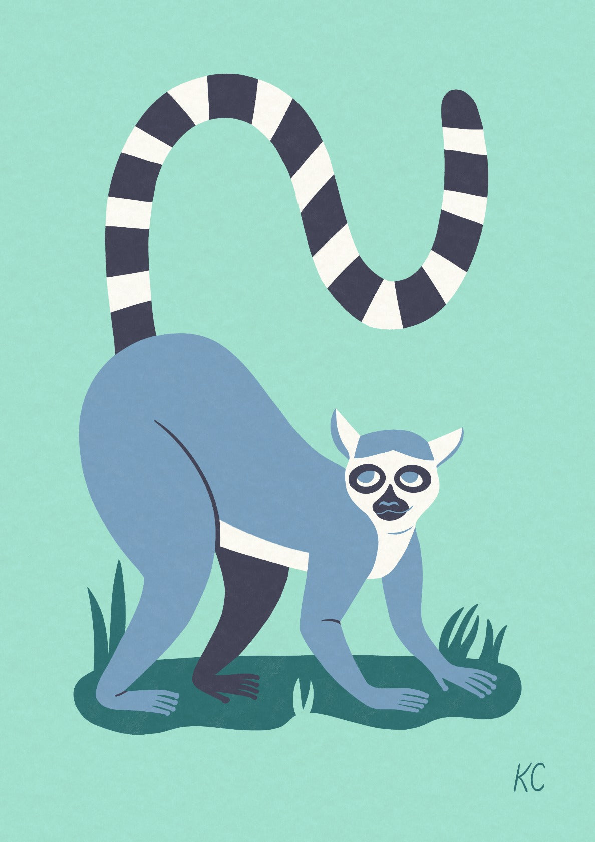 Ring-tailed lemur