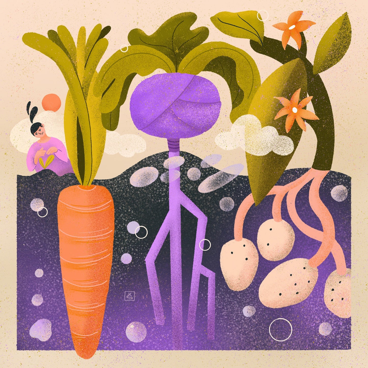 Vegetable day in the garden