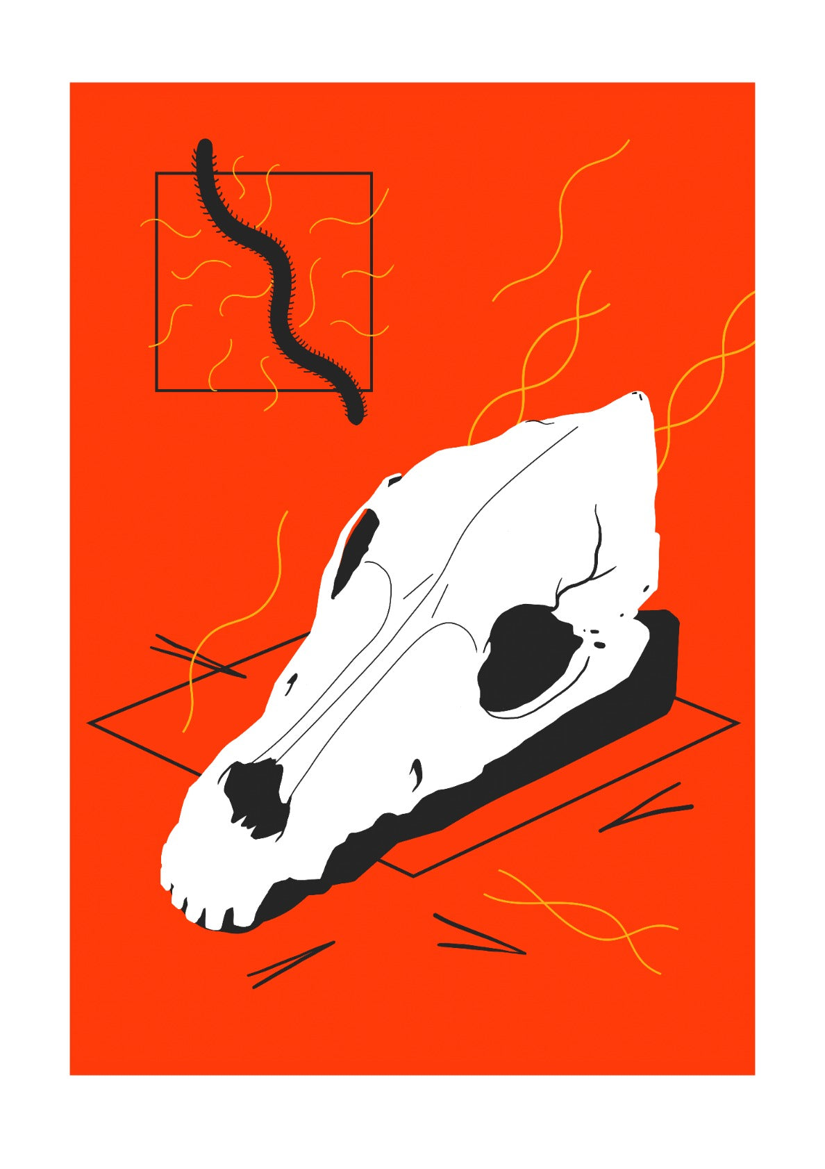 Skull - Kafka's quote